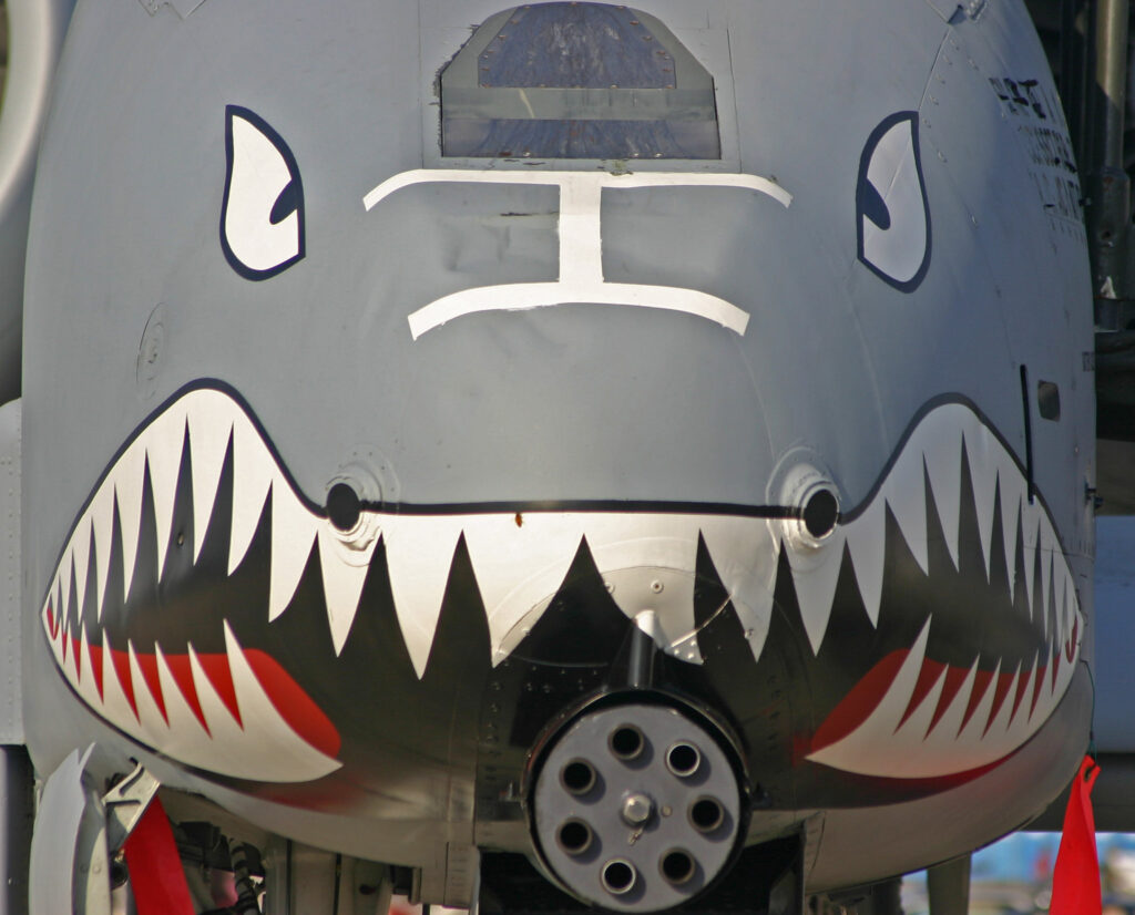 The A-10 often has a shark nose painted around the GAU-8