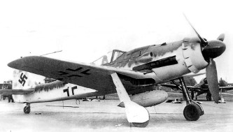 The Fw-190 D1