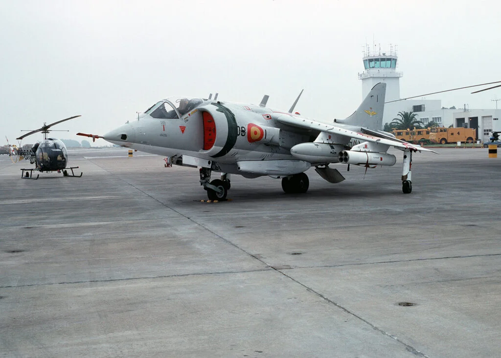 A Spanish Harrier.