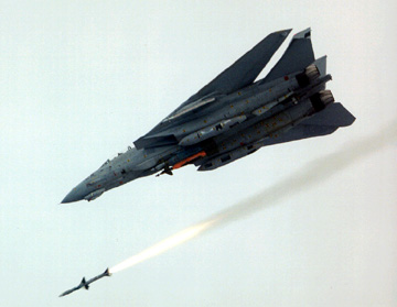 The F-14 had a deadly array of armament.