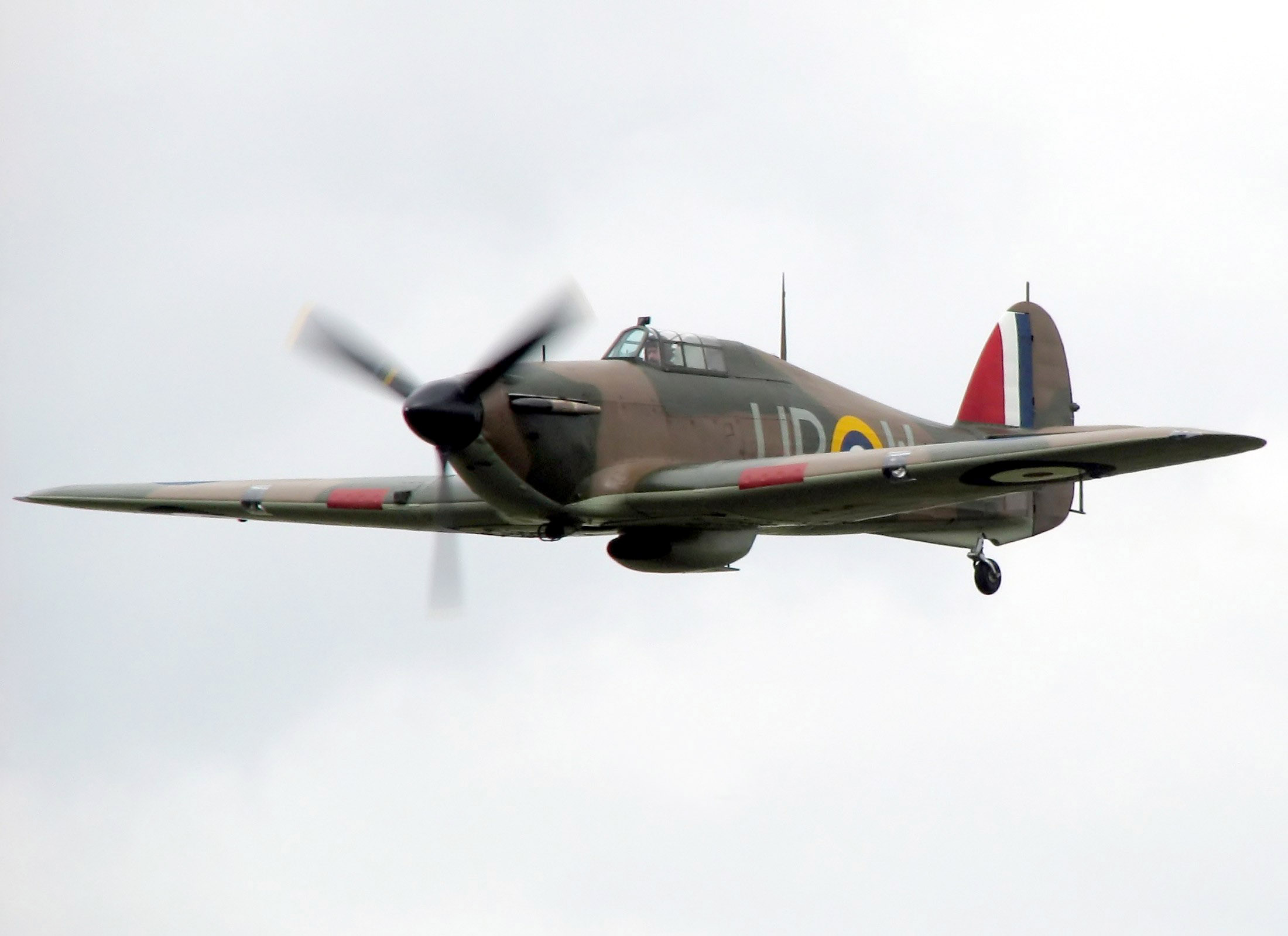 The Hurricane was designed as fighter. The Typhoon was to be a heavy fighter/ground attacker.