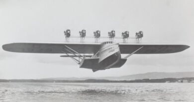 The Dornier Do X in flight.