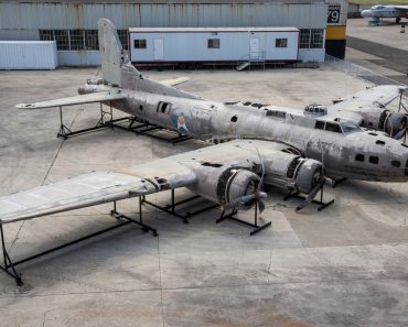 Swamp Ghost on display in Hawaii.